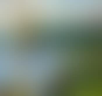 Acapulco (preview)