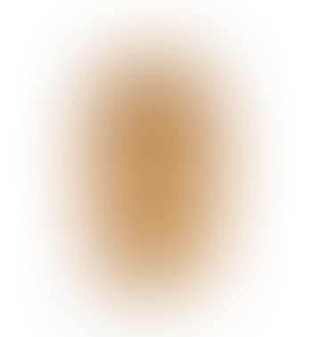 Vase (preview)