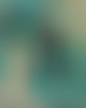 Le serment (preview)