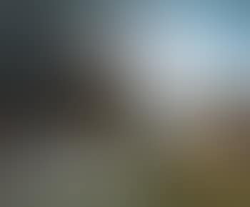 Paysage (preview)