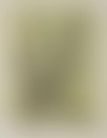 No. 7: Composition in Green and Ochre (preview)