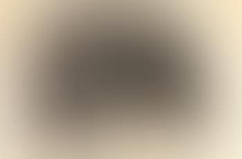Untitled (Meditation on a Can of Vernors) (preview)