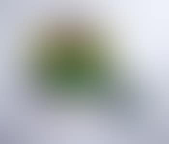 Spheres (2) (preview)