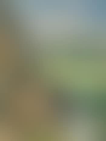 Femmes et enfants à la campagne, aux Andelys (preview)