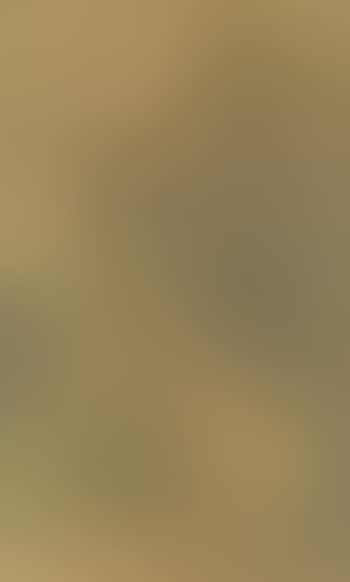 Pagoda in Landscape (preview)