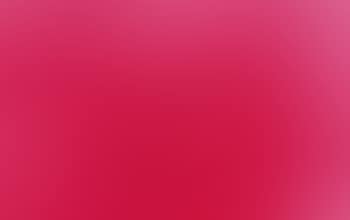 Untitled pink monochrome (MP 5) (preview)