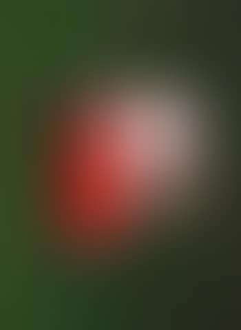 The Doll with the Red Dress (preview)