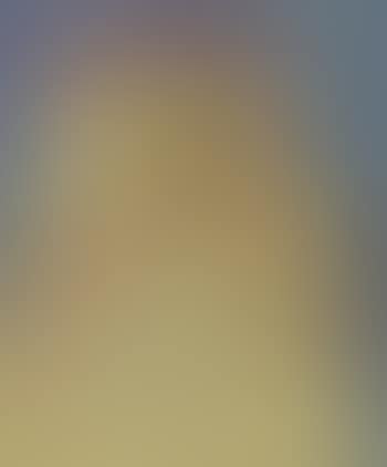 Reclining nude on a bed (preview)