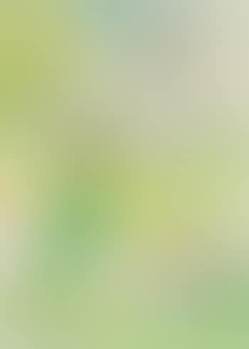Composition 33828 (preview)