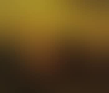 Sunlit landscape (preview)
