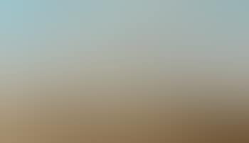Paysage bord de mer (preview)