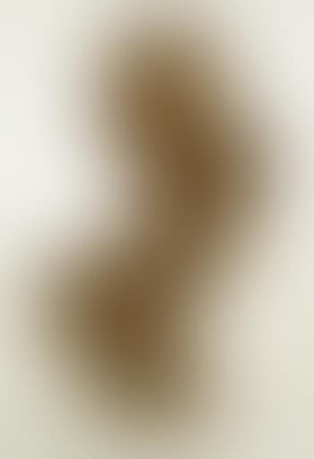 Figural abstract (preview)