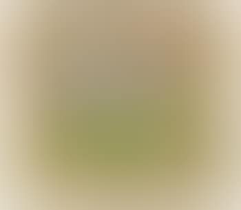 Landscape, country and mountains (preview)