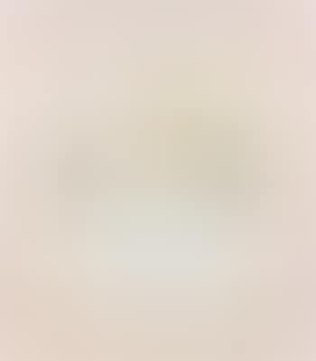 Assemblage (preview)