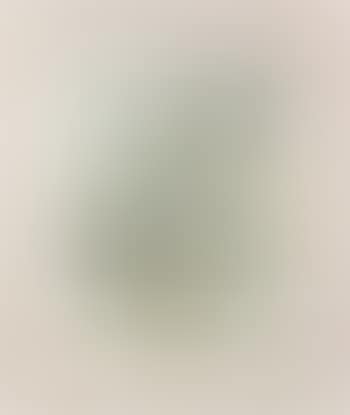 [Untitled] (preview)