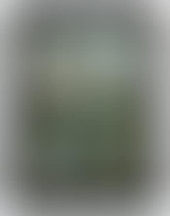 Mountain landscape (preview)