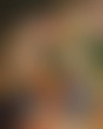 Nature morte (preview)