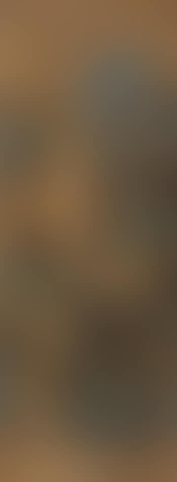 Landscape (preview)
