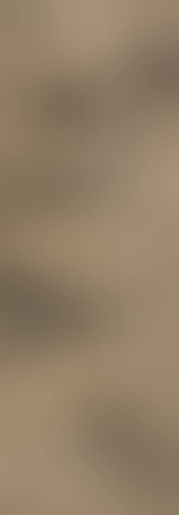 Landscape (preview)