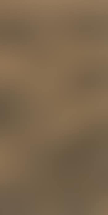 Landscape (preview)