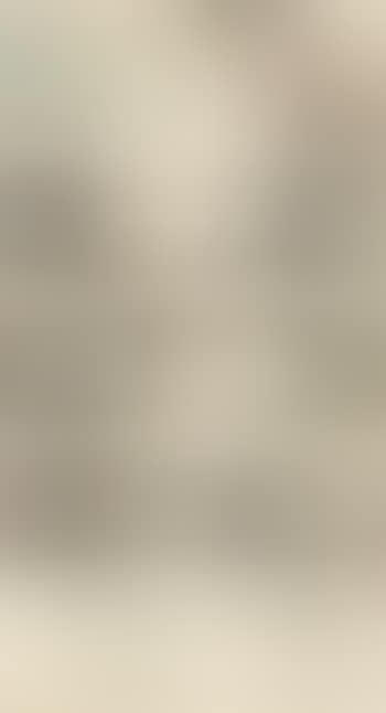 Landscape (preview)