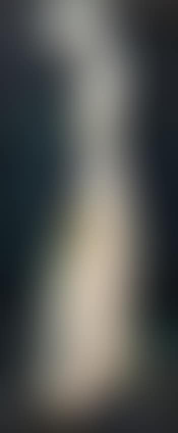 Figure of a nun (preview)