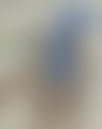 Figure (preview)