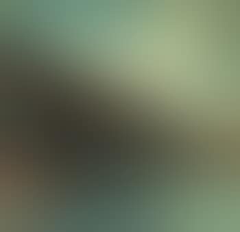 Paesaggio (preview)