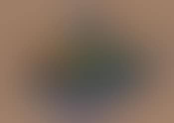 U 2238 A (preview)