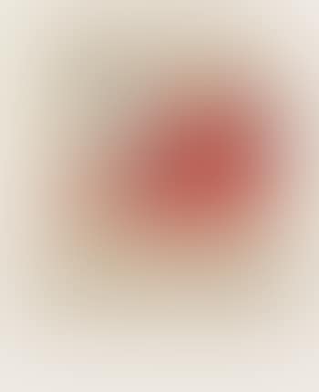 Hirsch (preview)