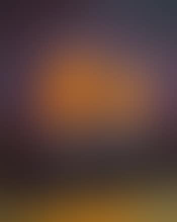Novembre (preview)