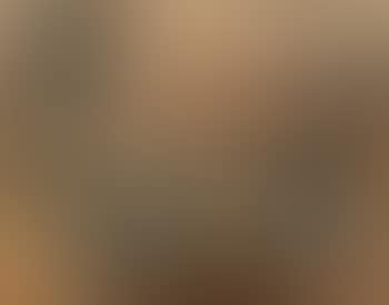 Composition (preview)