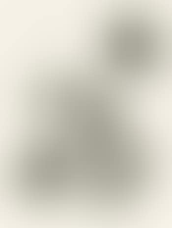 Banner (preview)