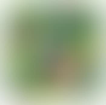 Ricci e spiaggetta verde (preview)