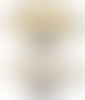 [Untitled] (preview)