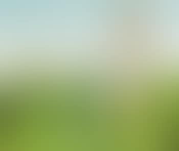 Homage to Morris Louis (preview)