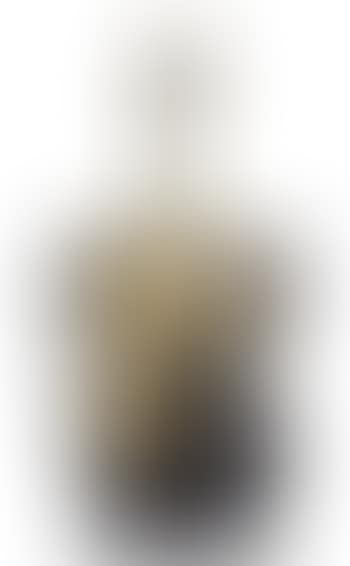 La fenice n°1 (preview)