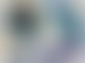 Untitled (SF-308) (preview)