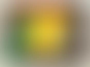 Mysterious Bird of Ulieta (preview)