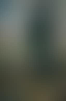 Untitled (preview)