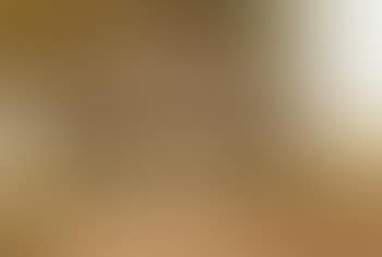 A flock of sheep sheltering in a pasture (preview)