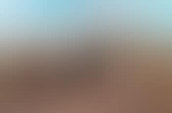 Les chevaux (preview)