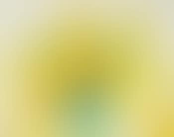 Flowers in a Blue Vase (preview)