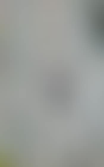 Ohne Titel (preview)