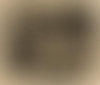Tierlegende (preview)