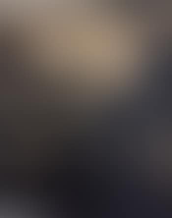 [Untitled] (preview)