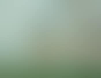 Autumn Mist (preview)