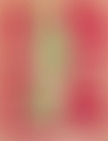 Algue blanche sur fond rouge (preview)