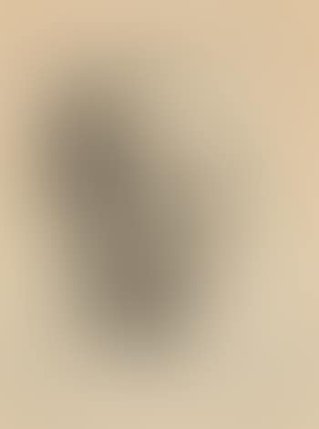 Self portrait (preview)