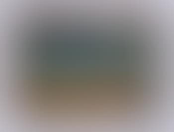 Murky Harbour (preview)